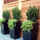 Metallic Finish Luxury Plant Containers with Lush Leaves, Indoor Outdoor Premium FRP Planters