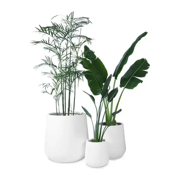 Sleek and stylish rectangular planters, Affordable commercial rectangular planters, Long-lasting wooden rectangular planters