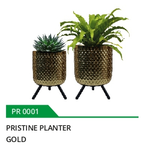 Pristine Planter
