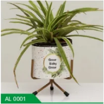 Innovative plant piece