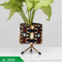 Elegant plant display