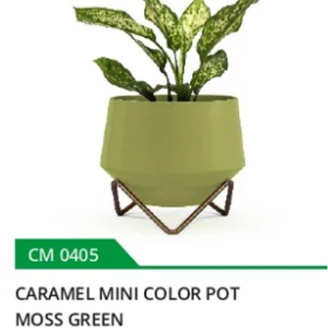 Ornamental plant vase