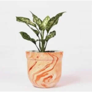Bespoke printed plant accessories
