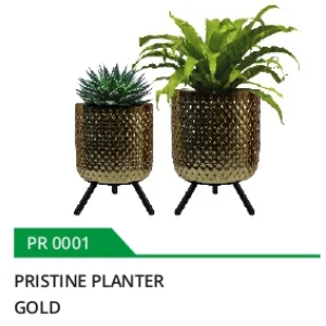 Decor-focused plant pot