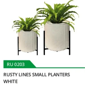 Designer plant accessory
