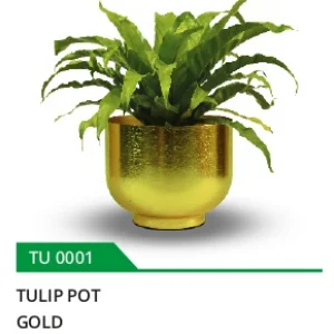 Luxury plant display