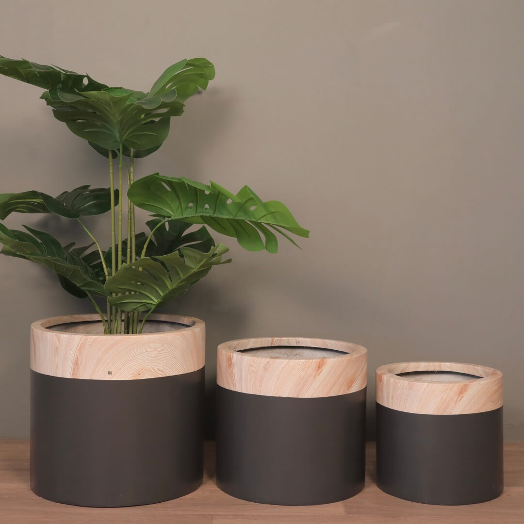 Designer Pots, Fiber Planters online India, Bowl-shaped planters, Luxury Planters