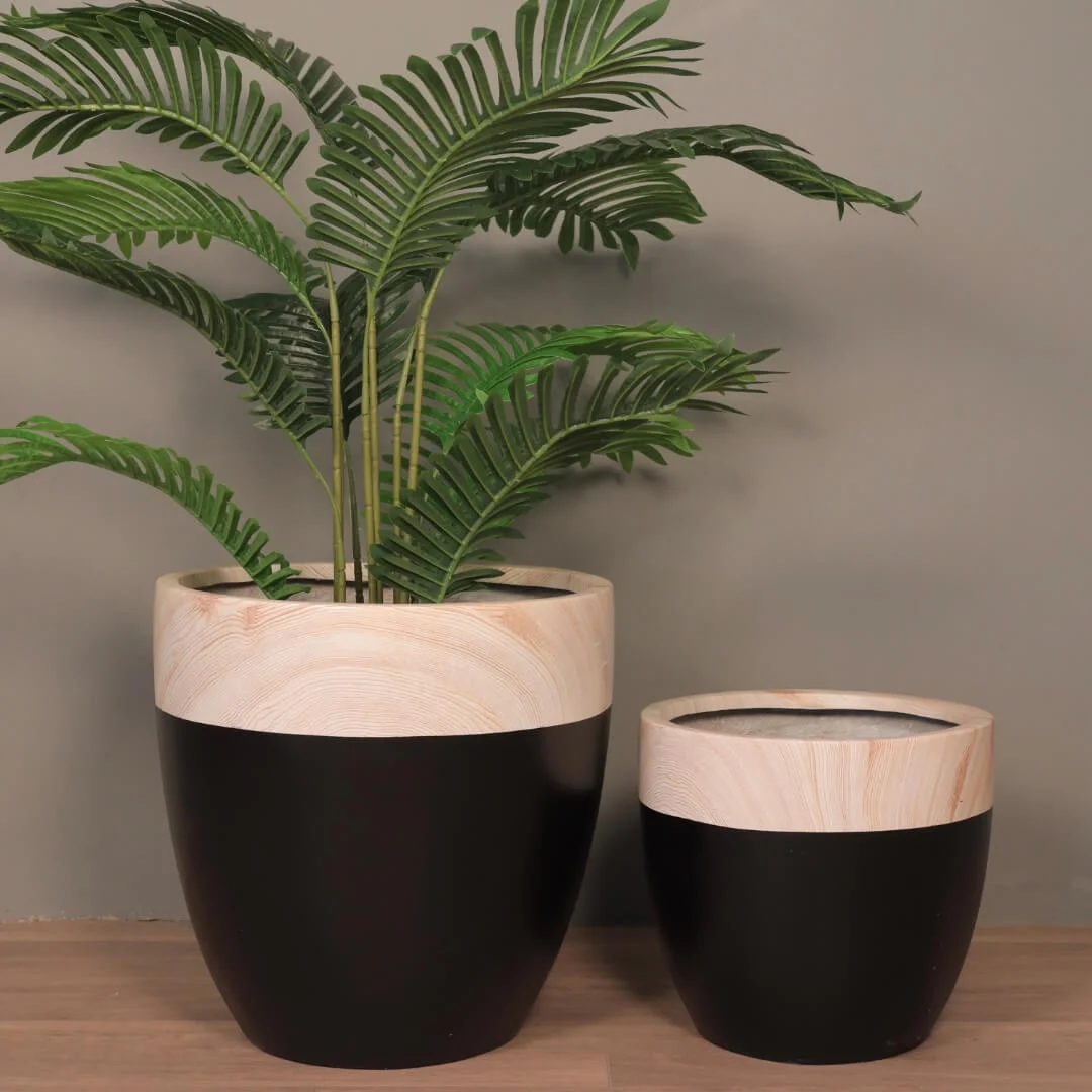 Buy Large Planters, Designer Pots, Fiber Planters online India, Bowl-shaped planters