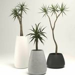 Premium Outdoor Planters, Stylish Indoor Pots, Fiberglass Garden Planters