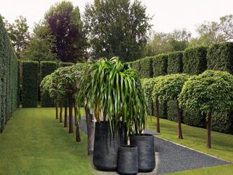 Customized Fiberglass Planters, Customized Planters, exotic planters India,  FRP Planters , Planters