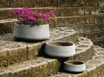 Intricate Stone Texture Container