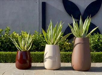 Sophisticated Stone Texture Planter
