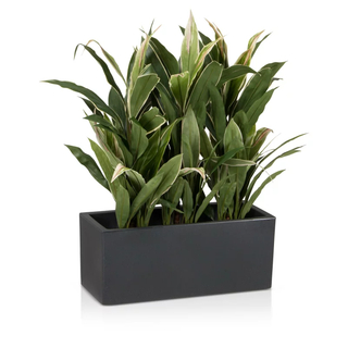 FRP Planters, FRP Pots, Fiberglass Pots, Fiberglass Planters India