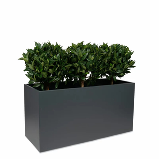 Rectangular fiberglass planter boxes, Designer Garden Planters