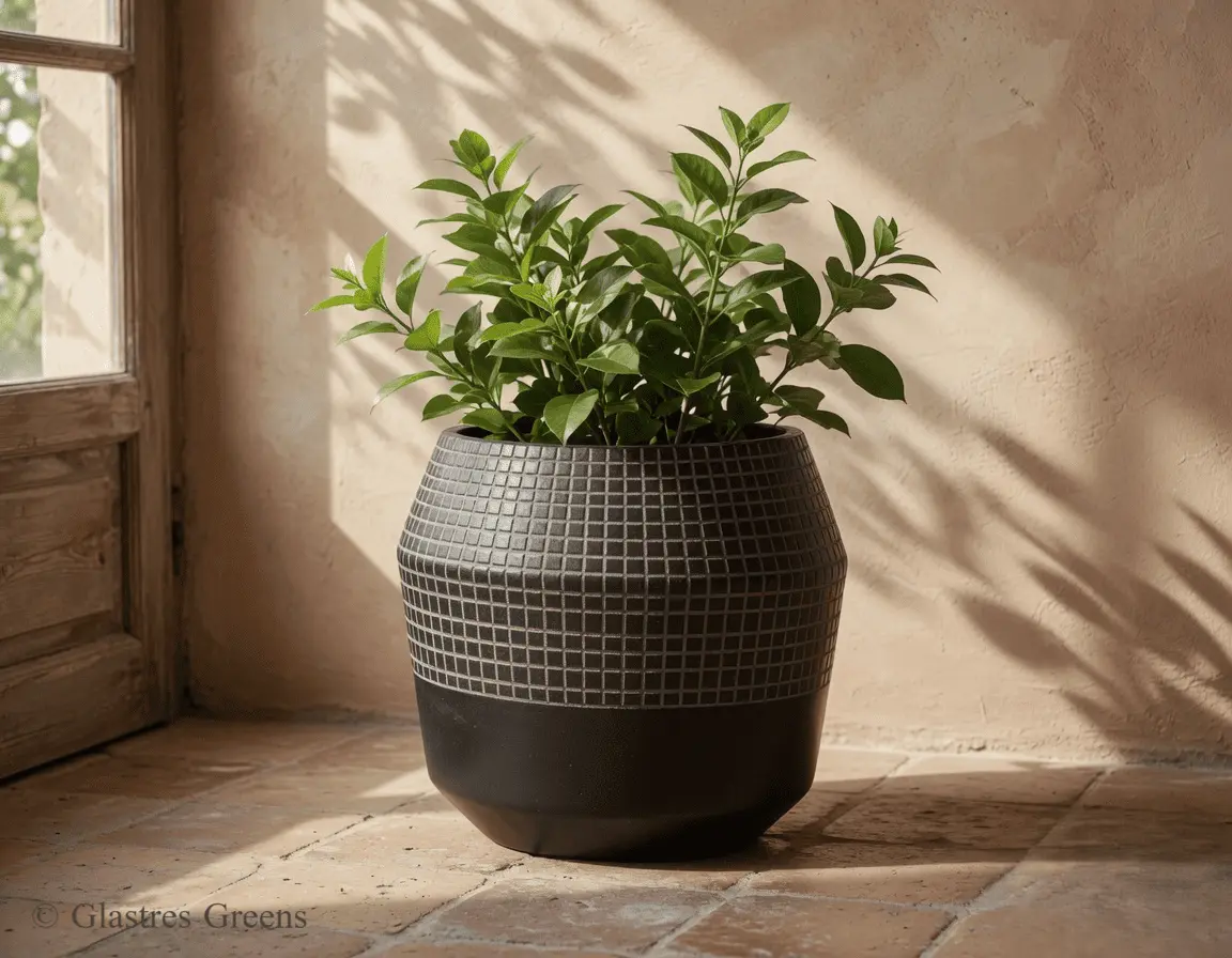 A commercial FRP planter utilized in a large-scale hospitality project, representing durable, high-quality container solutions for global hotel brands.