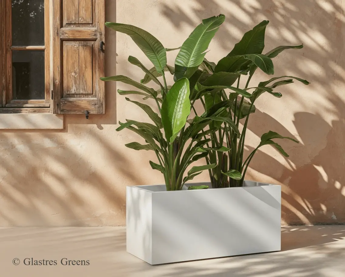 A commercial ribbed planter located within a bustling mall atrium, adding tactile interest and resilient greenery to high-traffic indoor retail sectors.