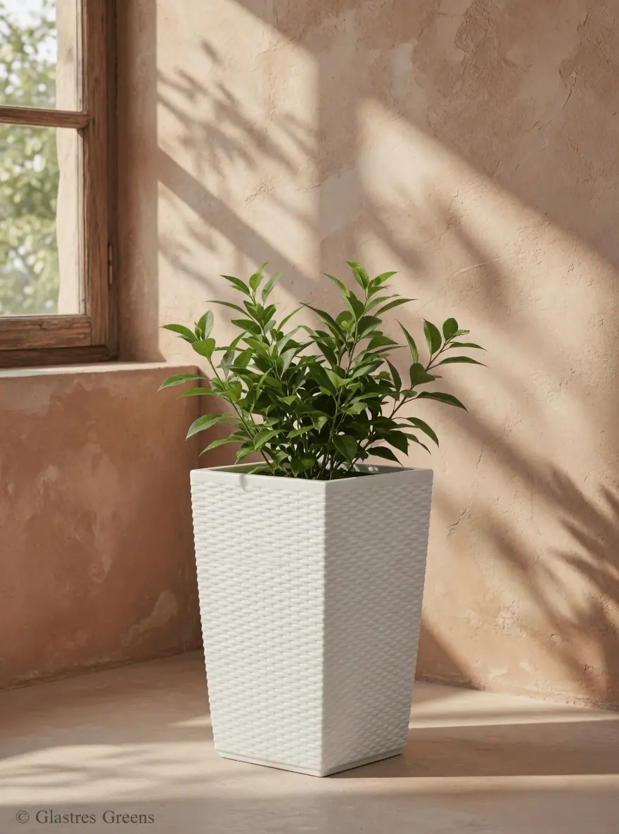 A landscape square planter positioned thoughtfully among decorative garden boulders, juxtaposing precise manufacturing with organic natural forms.