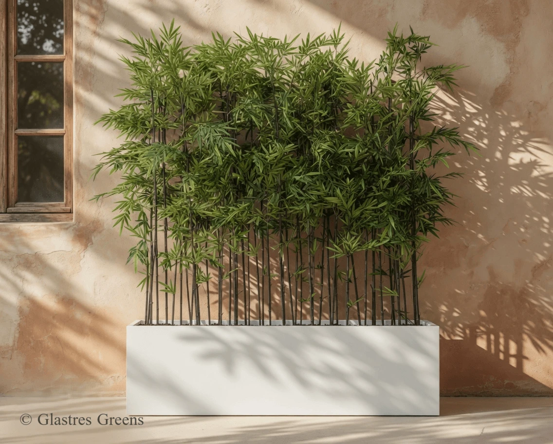 Slim outdoor rectangular concrete planters ideal for tight architectural spaces. Excellent for balcony edges, dividing screens, narrow ledges and linear garden designs.