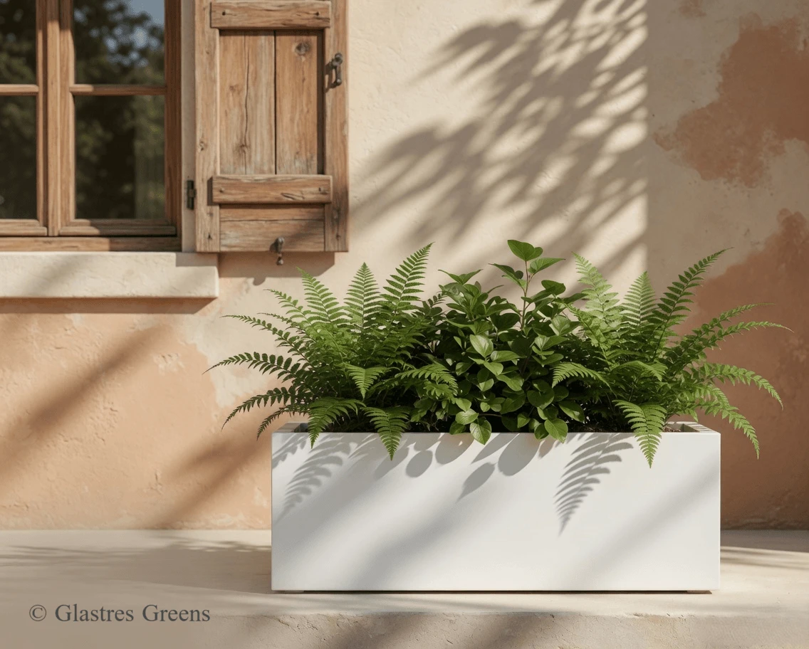Medium-depth outdoor rectangular concrete planters in popular 12-inch width. Reliable workhorse for linear hedging, flower displays and commercial landscaping projects.