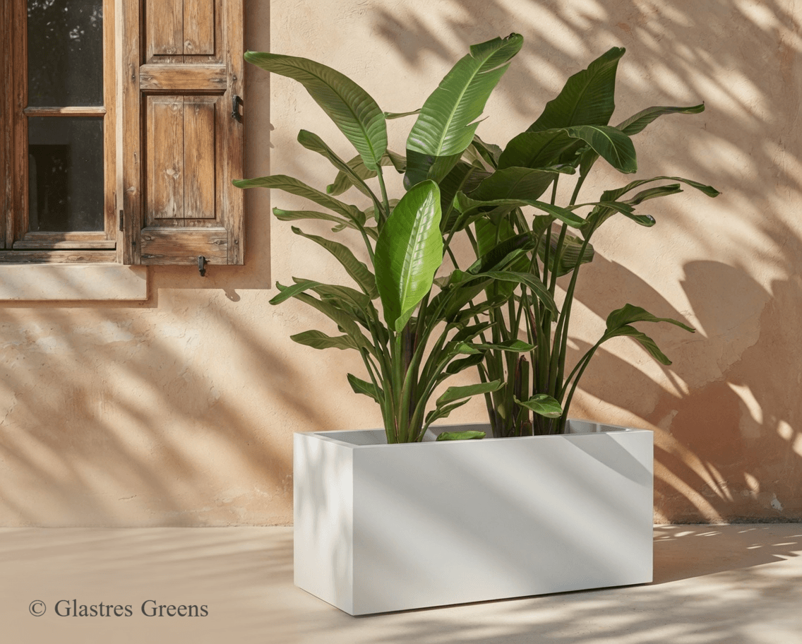 Rectangular 18 Series FRP Planter by Glastres Greens Bangalore