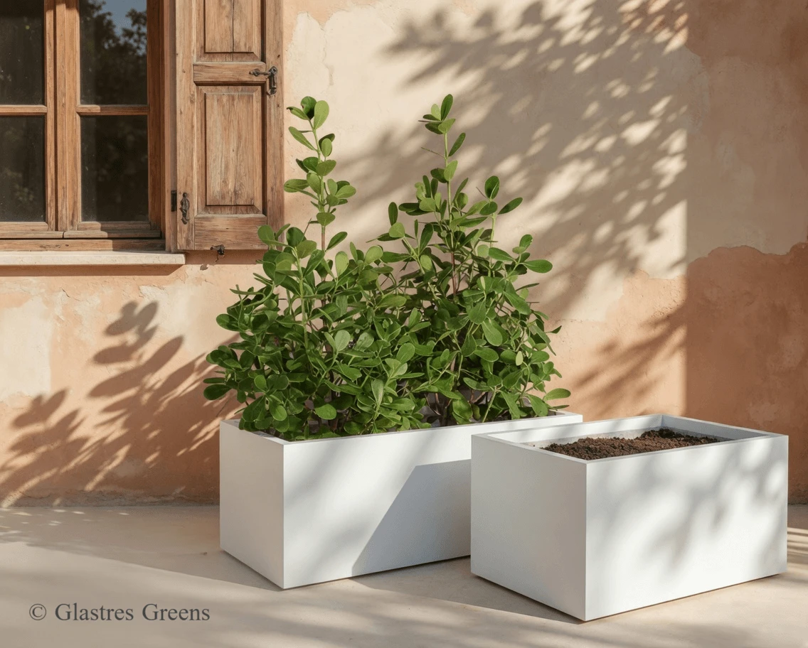Wide-profile outdoor rectangular concrete planters designed for impact. Perfect for substantial planting displays in plazas, hotel entrances and large residential estates.