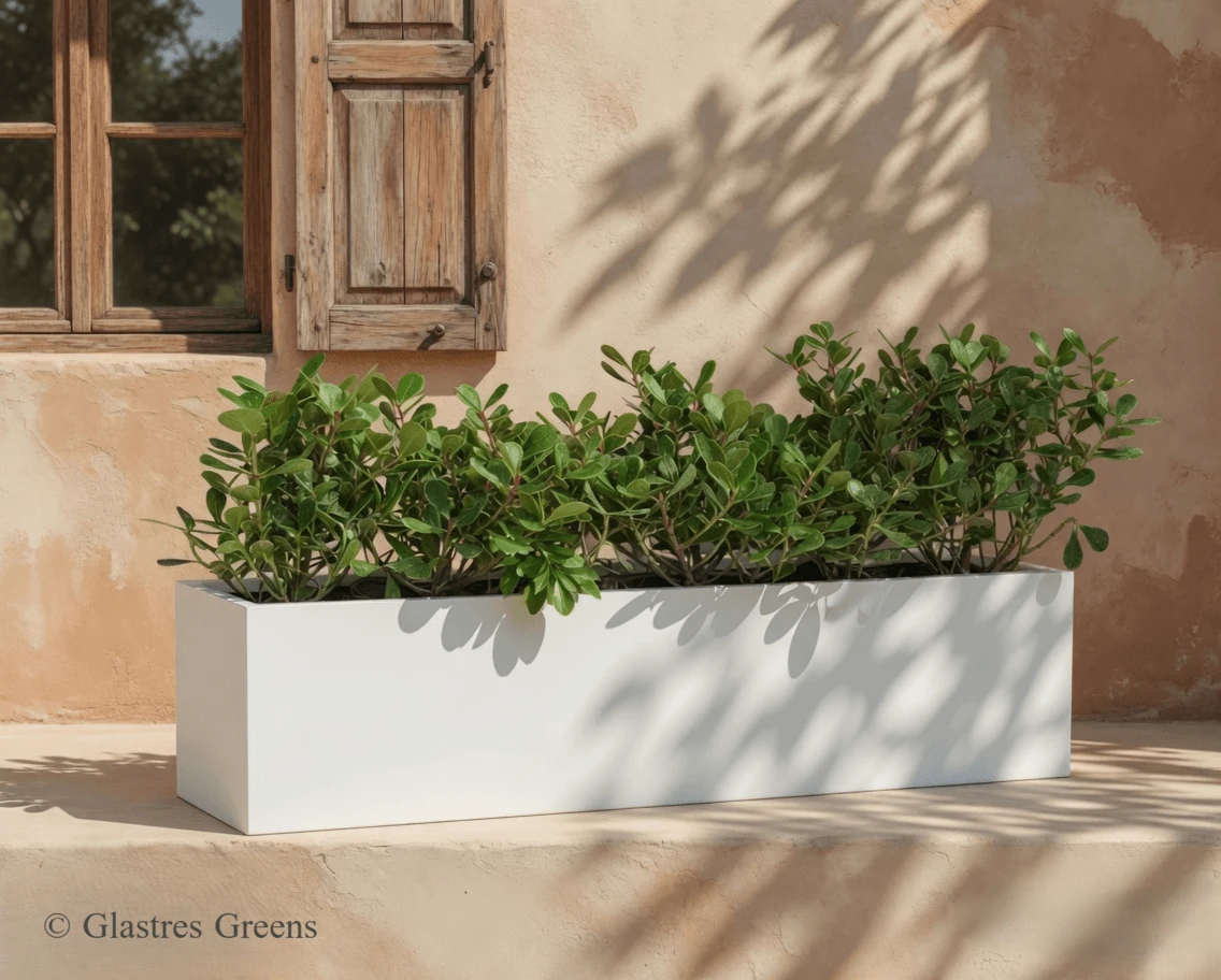 Narrow outdoor rectangular concrete planters design for architecture