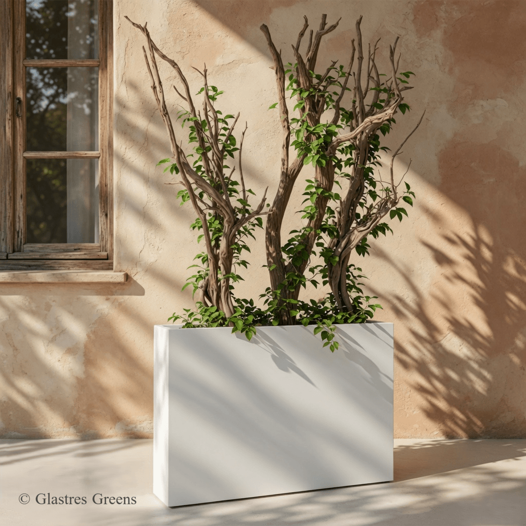 Hot Seller Brisbane Fiberglass Pot