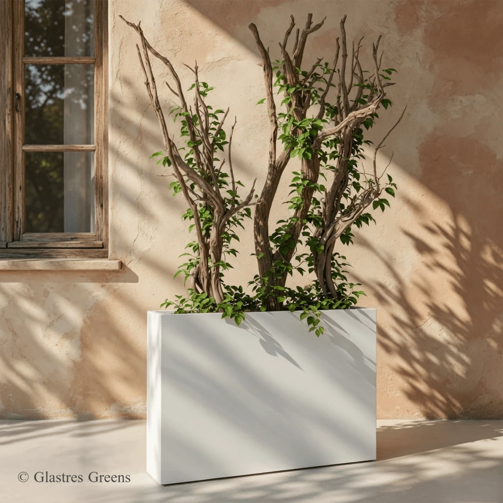 Large architectural FRP planter box for commercial landscape project in India