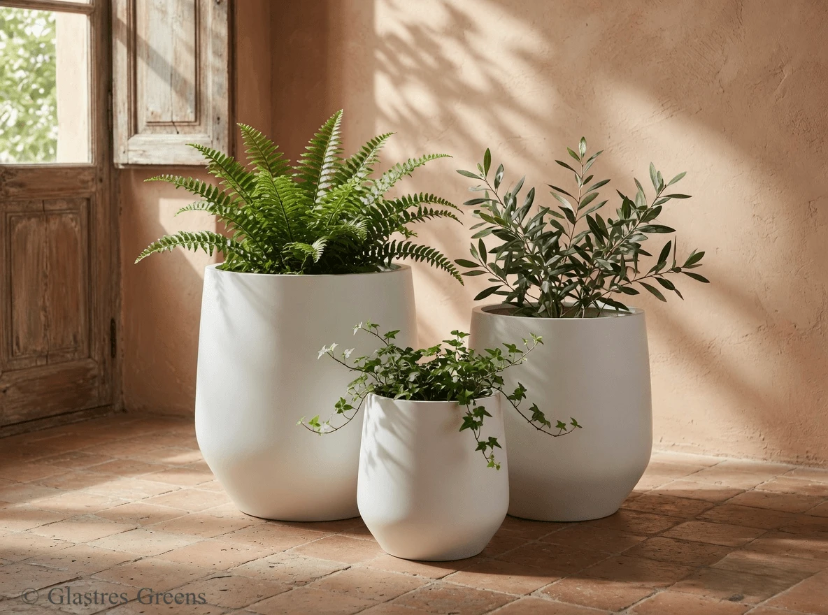 Premium linear FRP planters defining pathways in a corporate IT campus