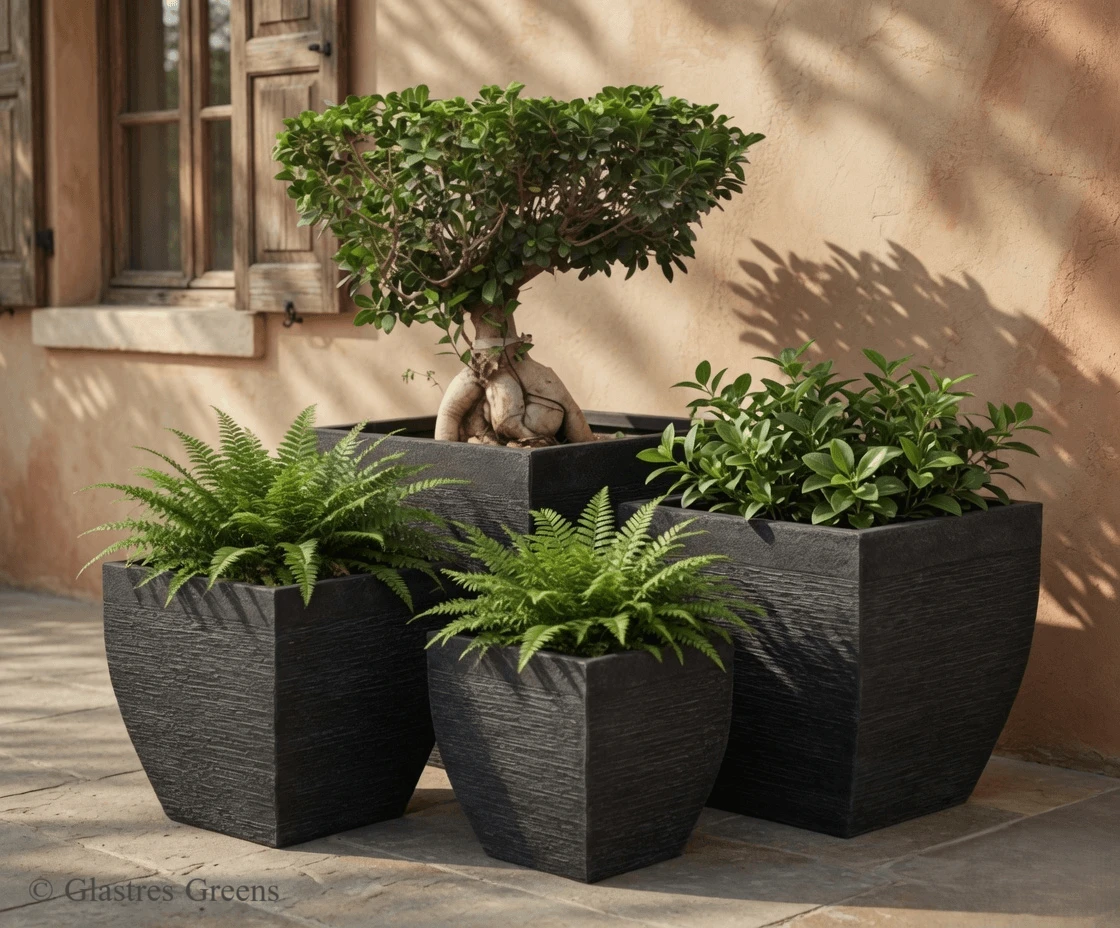 Commercial FRP planters