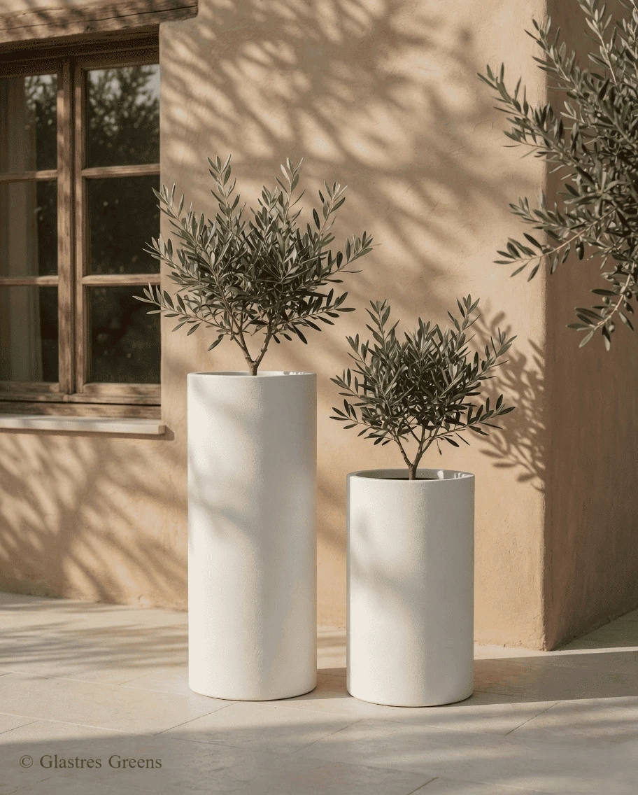 Daisy tall statement FRP planter, a monumental sculptural piece that commands attention in luxury villa courtyards and commercial landscaping.