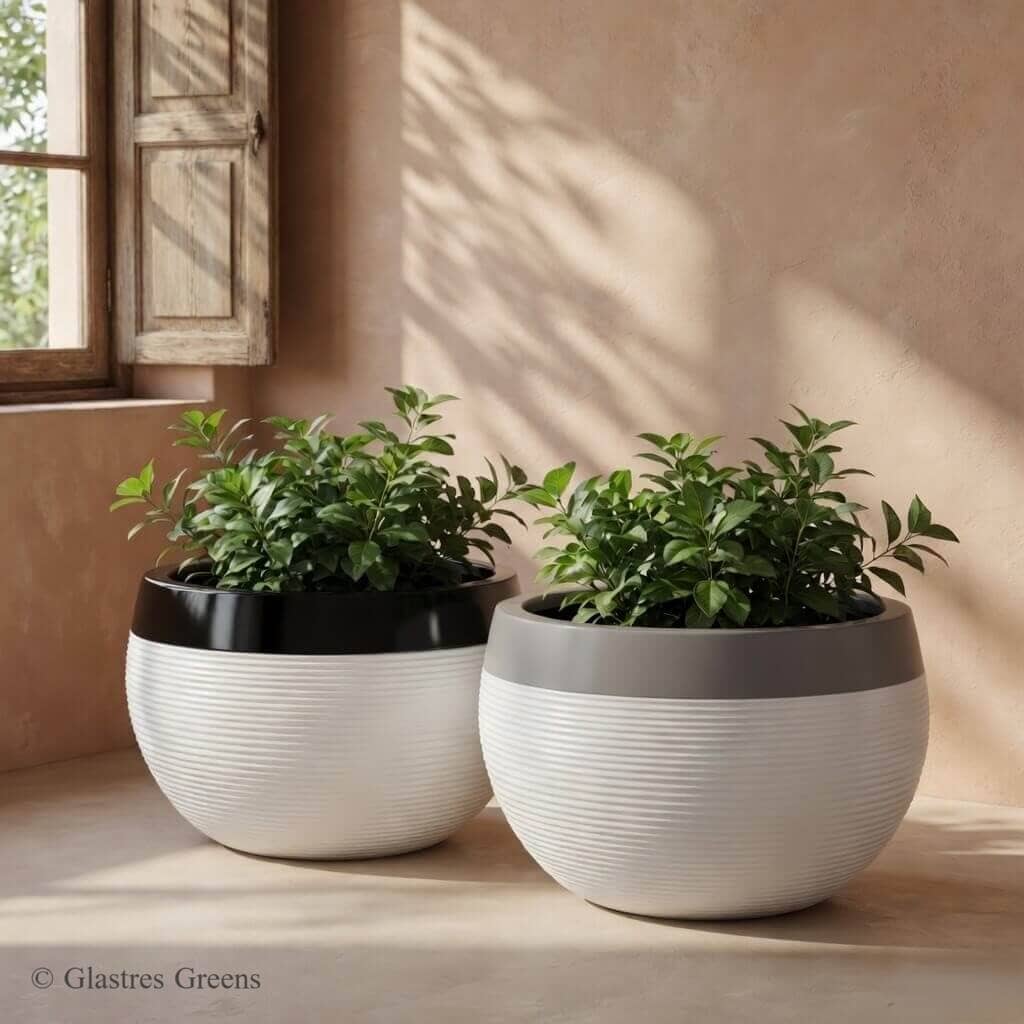 Dreamer wide outdoor FRP planter box featuring expansive proportions engineered specifically for large terrace gardens and commercial landscaping.