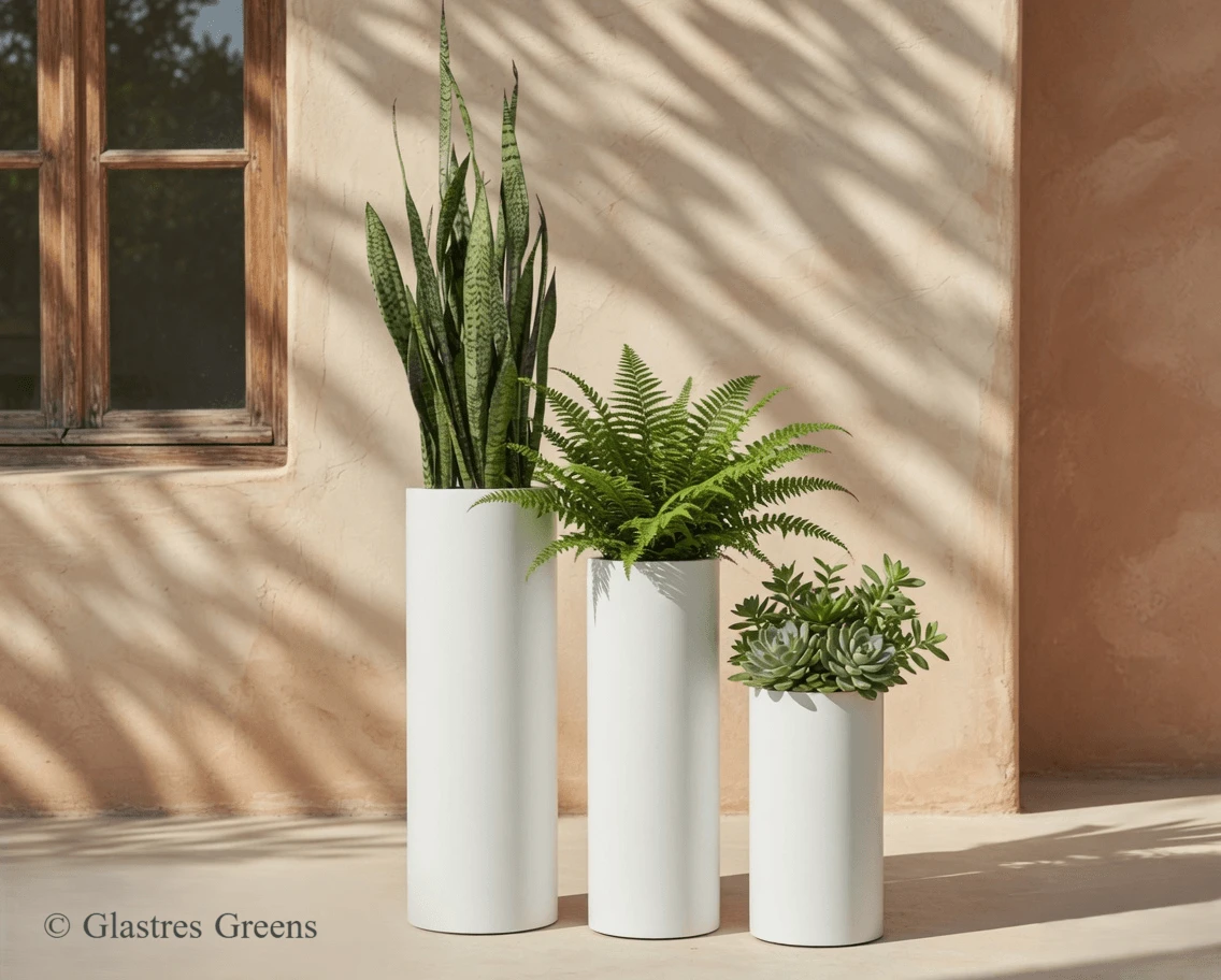 Grande Cylindrico tall FRP planter, a universally appealing best-seller offering seamless construction and lifelong outdoor durability for commercial use.