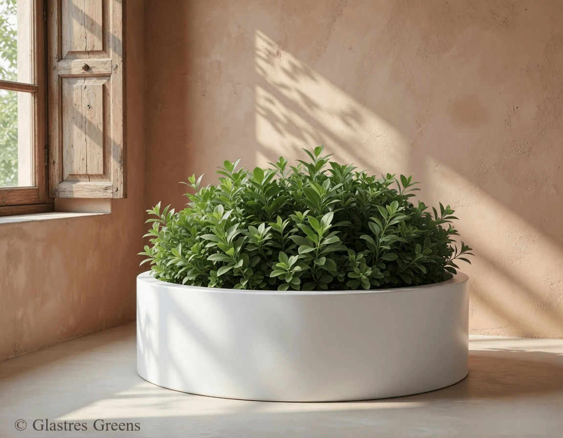 Lotus Pond wide shallow FRP planter boasting a robust, weatherproof basin ideal for expansive aquatic designs, water features, and modern luxury succulents.