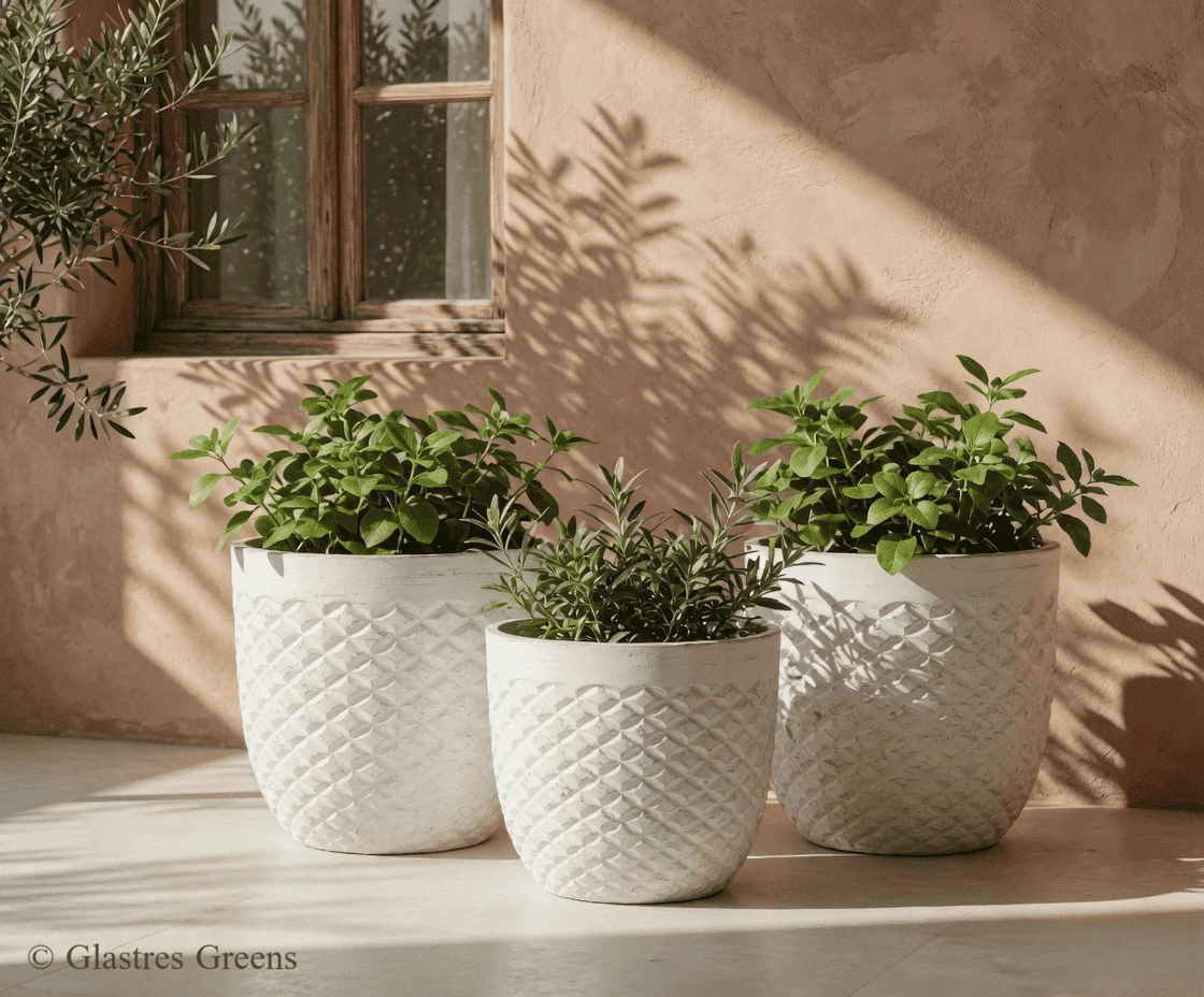 Modern cube FRP planter featuring precise edges, perfectly suited for framing building entrances in contemporary corporate and commercial developments.