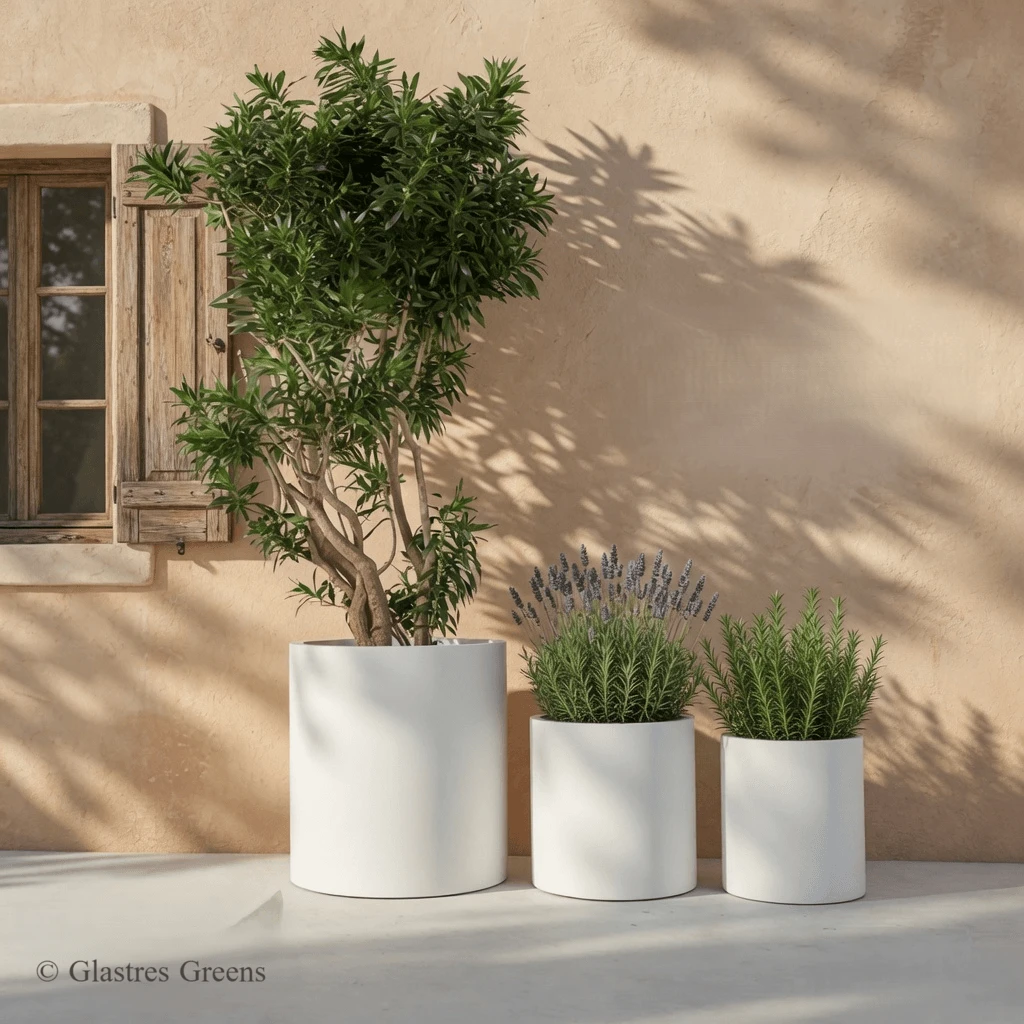 Rio small cylindrical fiberglass planter offering premium designer home decor aesthetics, perfectly sized for elegant indoor and tabletop applications.