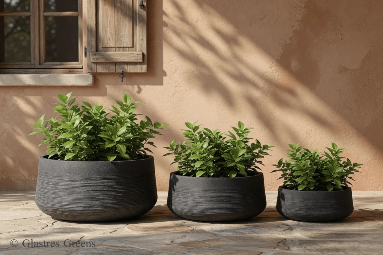 Balcony Planter Boxes