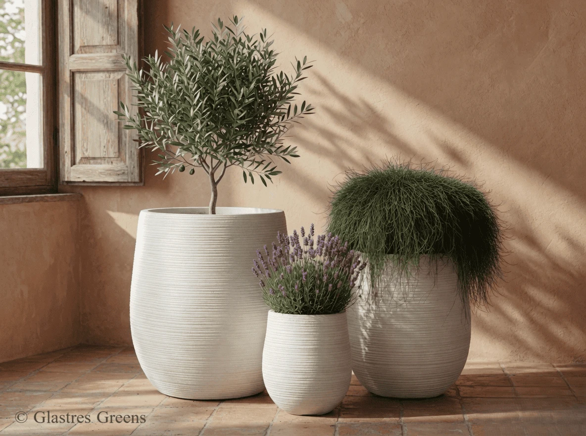 Indoor Planter Boxes