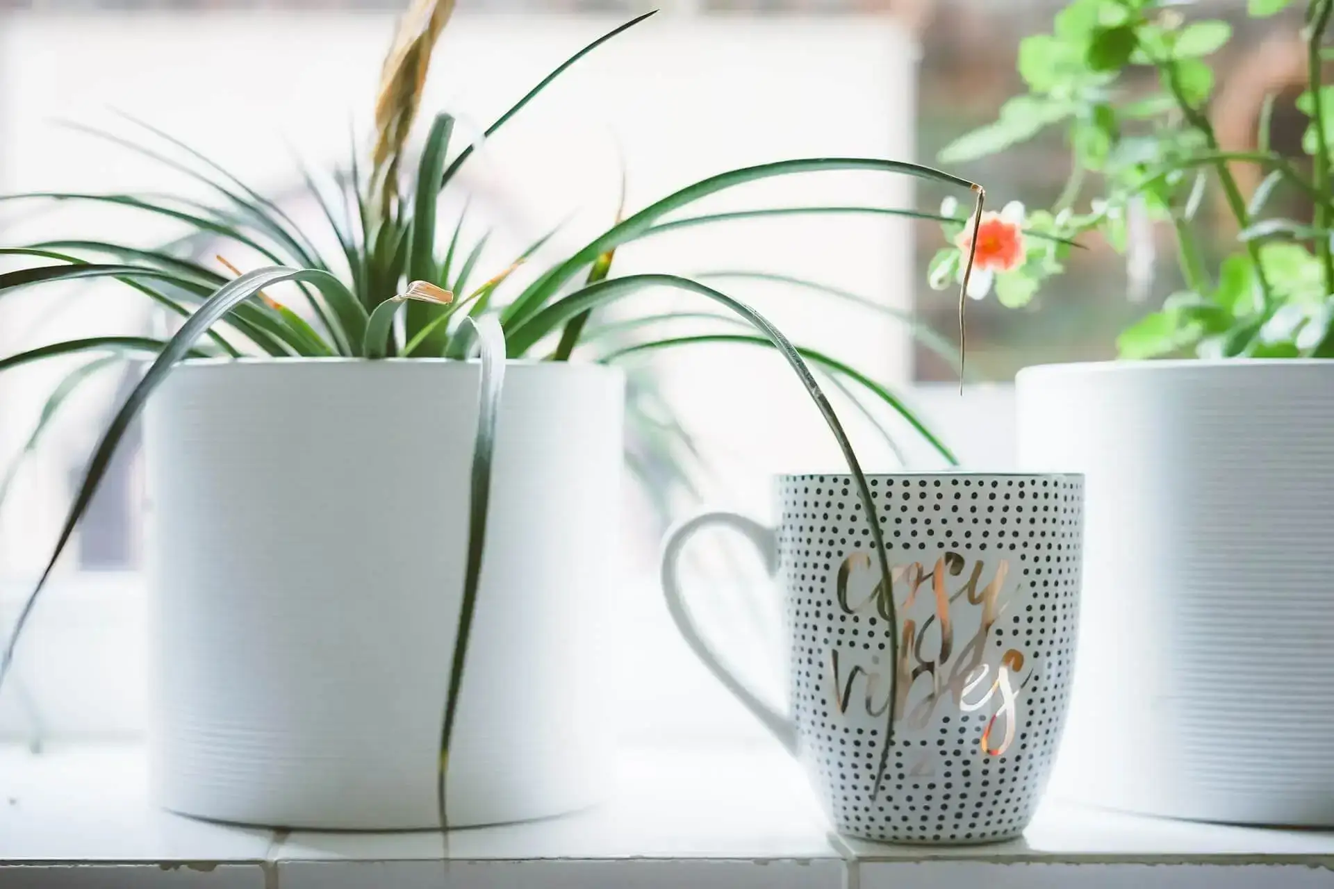 Fiberglass Planters, Outdoor Garden Pots, Sustainable Designer Pots India