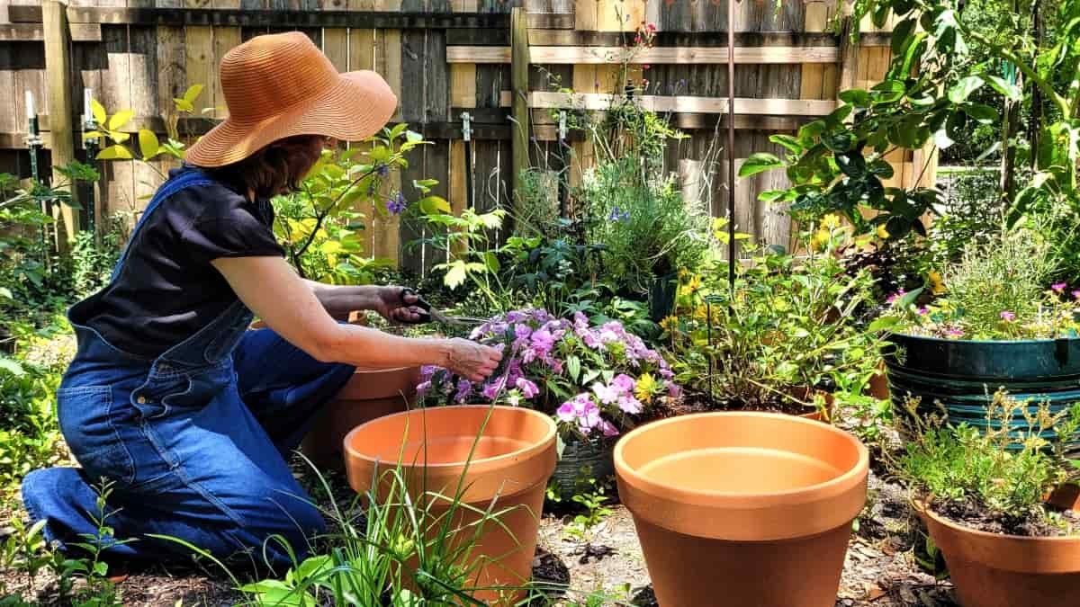 Pots & Planters