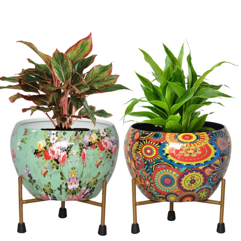 Printed Decorative Pots