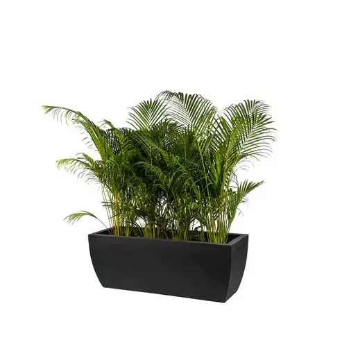 Rectangular planters in various sizes