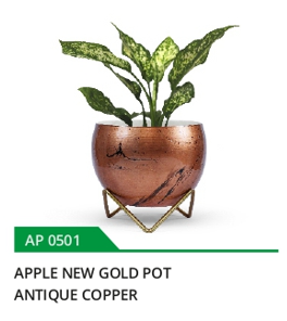 Apple Planter