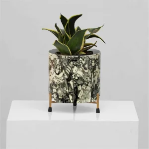 Chic plant accessory