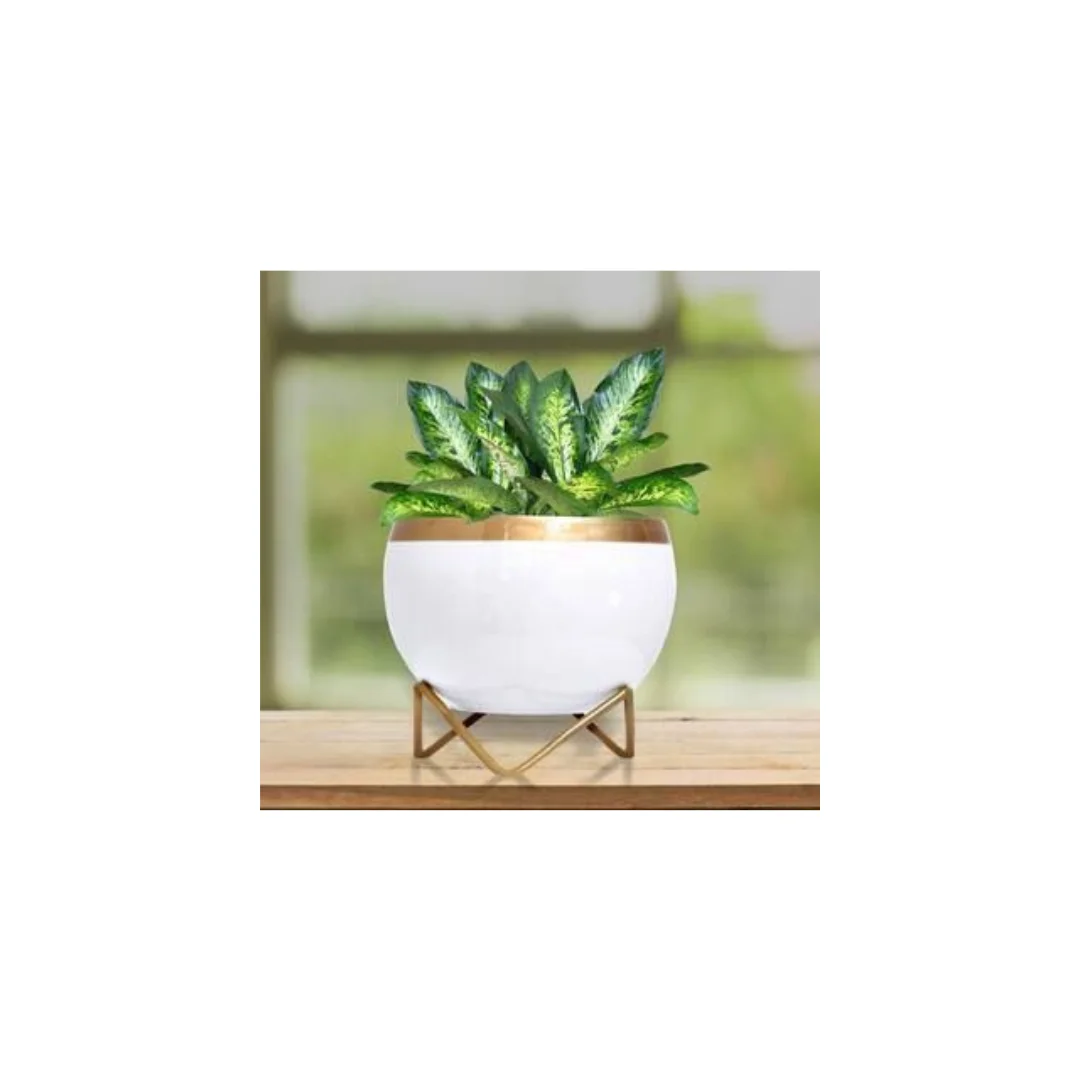 Designer plant vessel