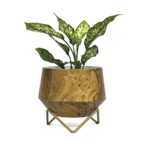 Fashionable plant holder