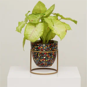 Personalized decorative vessels