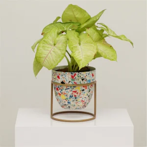 Stylish custom-designed pots