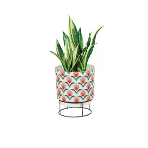 Fashion-forward printed planters