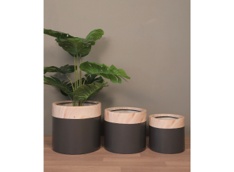 FRP Planters Manufacturers, Fiberglass Planters, Black Fiberglass Planters